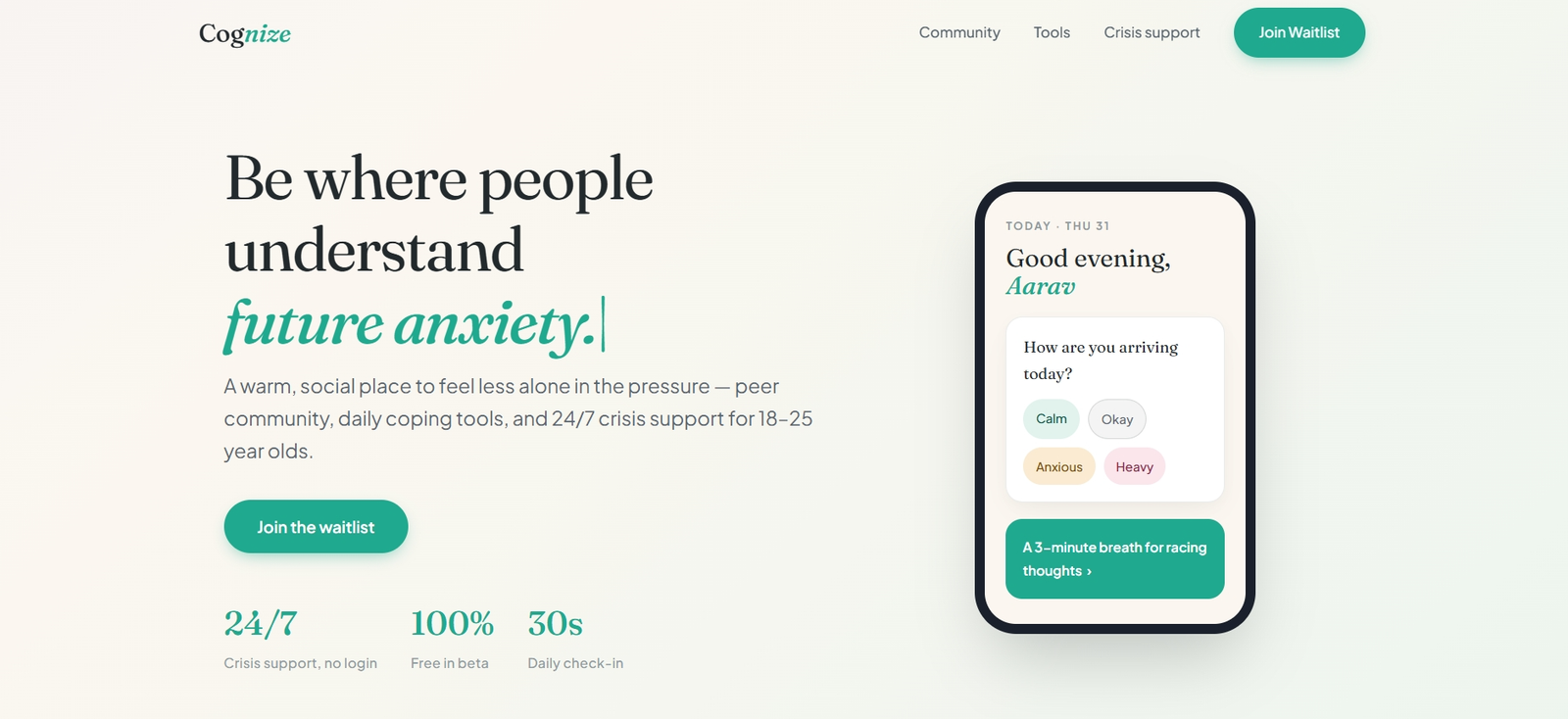 Cognize Website Preview
